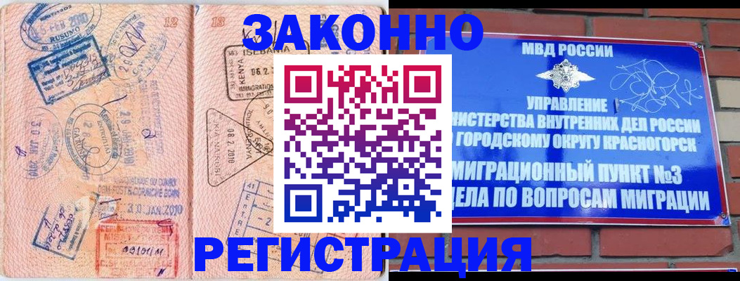 прописка иностранных граждан в Купино
